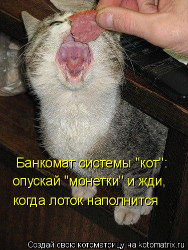 Банкомат системы "кот": опускай "монетки" и жди, когда лоток наполнится... Котоматрица: Банкомат системы "кот": опускай "монетки" и жди, когда лоток наполнится
