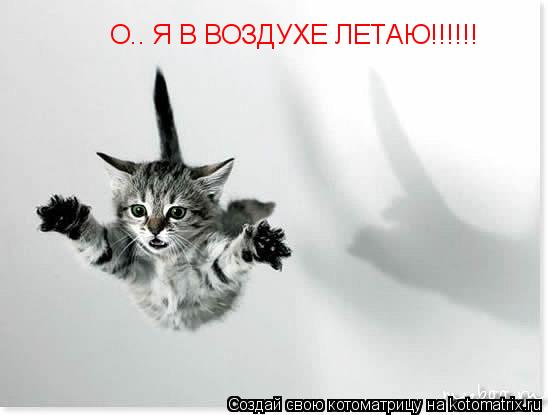 О.. Я В ВОЗДУХЕ ЛЕТАЮ!!!!!!... Котоматрица: О.. Я В ВОЗДУХЕ ЛЕТАЮ!!!!!!