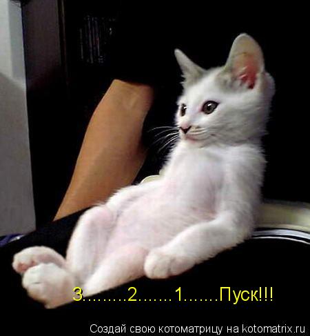 3.........2.......1.......Пуск!!!... Котоматрица: 3.........2.......1.......Пуск!!!