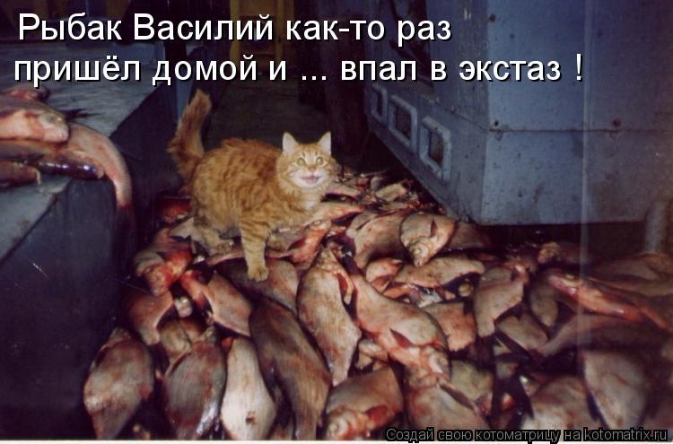 Рыбак Василий как-то раз пришёл домой и ... впал в экстаз !... Котоматрица: Рыбак Василий как-то раз пришёл домой и ... впал в экстаз !