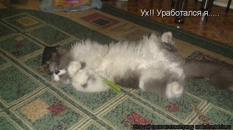 Ух!! Уработался я........ Котоматрица: Ух!! Уработался я.....