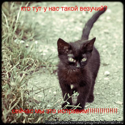 кто тут у нас такой везучий? сейчас мы это исправим!!!!!!!!!!!!!!!... Котоматрица: кто тут у нас такой везучий? сейчас мы это исправим!!!!!!!!!!!!!!!