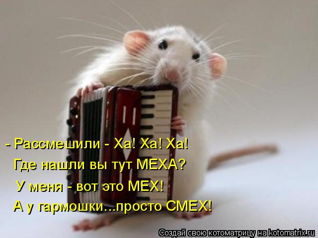 - Рассмешили - Ха! Ха! Ха! Где нашли вы тут МЕХА? У меня - вот это МЕХ! А у гармошки...просто СМЕХ!... Котоматрица: - Рассмешили - Ха! Ха! Ха! Где нашли вы тут МЕХА? У меня - вот это МЕХ! А у гармошки...просто СМЕХ!