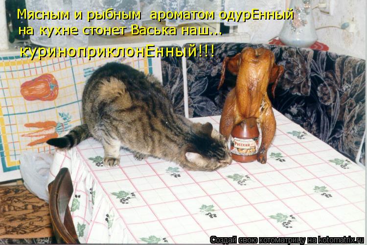 Мясным и рыбным ароматом одурЕнный на кухне стонет Васька наш... куриноприклонЕнный!!!... Котоматрица: Мясным и рыбным ароматом одурЕнный на кухне стонет Васька наш... куриноприклонЕнный!!!