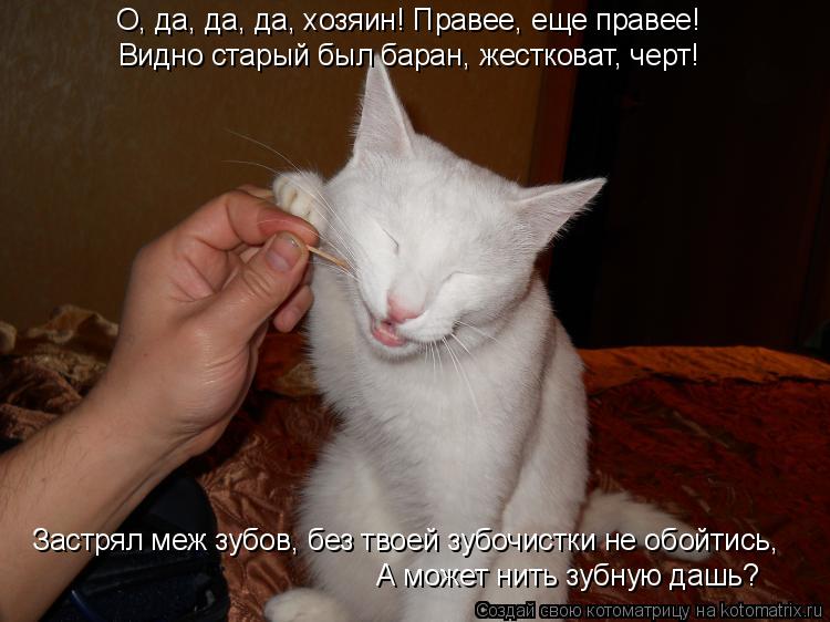 О, да, да, да, хозяин! Правее, еще правее! Видно старый был баран, жестковат, черт! Застрял меж зубов... Котоматрица: О, да, да, да, хозяин! Правее, еще правее! Видно старый был баран, жестковат, черт! Застрял меж зубов, без твоей зубочистки не обойтись, А может