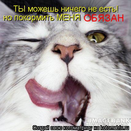 ТЫ можешь ничего не есть! но покормить МЕНЯ ОБЯЗАН... Котоматрица: ТЫ можешь ничего не есть! но покормить МЕНЯ ОБЯЗАН