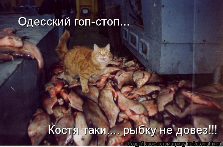 Одесский гоп-стоп... Костя таки.... рыбку не довез!!!... Котоматрица: Одесский гоп-стоп... Костя таки.... рыбку не довез!!!