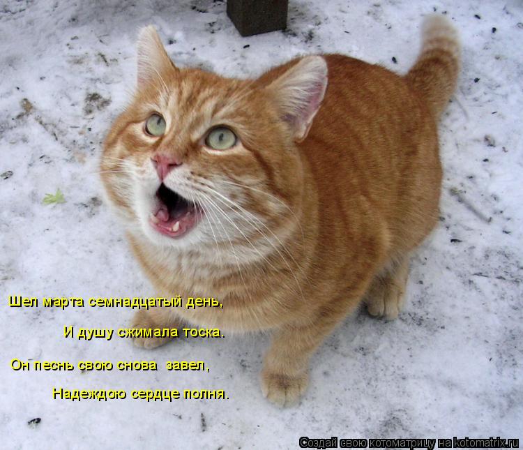 Шел марта семнадцатый день, И душу сжимала тоска. Он песнь свою снова завел, Надеждою сердце полня…... Котоматрица: Шел марта семнадцатый день, И душу сжимала тоска. Он песнь свою снова завел, Надеждою сердце полня…