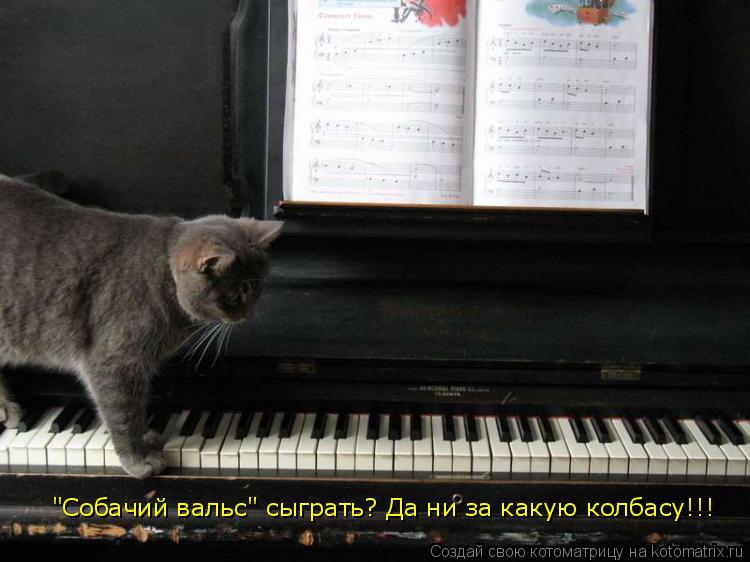 "Собачий вальс" сыграть? Да ни за какую колбасу!!! "Собачий вальс" сыграть? Да ни за какую колбасу!!!... Котоматрица: "Собачий вальс" сыграть? Да ни за какую колбасу!!! "Собачий вальс" сыграть? Да ни за какую колбасу!!! "Собачий вальс" сыграть? Да ни за какую колб