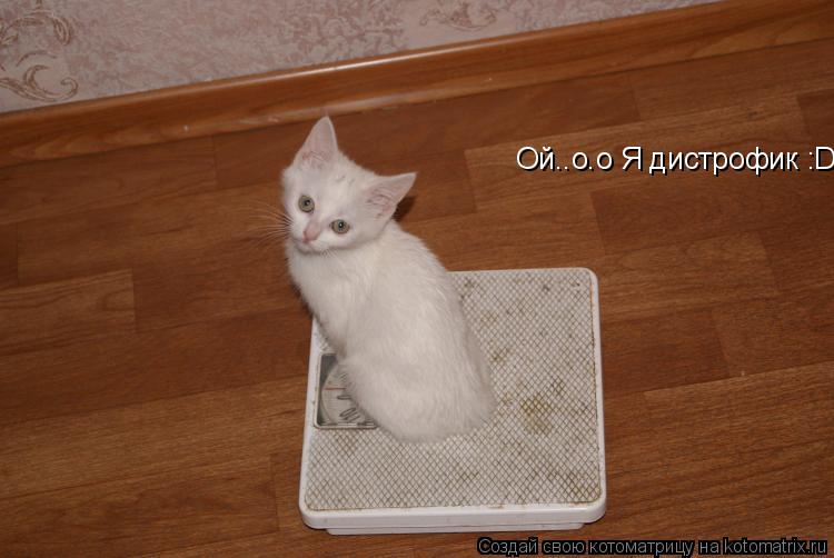 Ой..о.о Я дистрофик :D... Котоматрица: Ой..о.о Я дистрофик :D