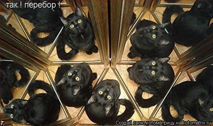 так ! перебор !... Котоматрица: так ! перебор !