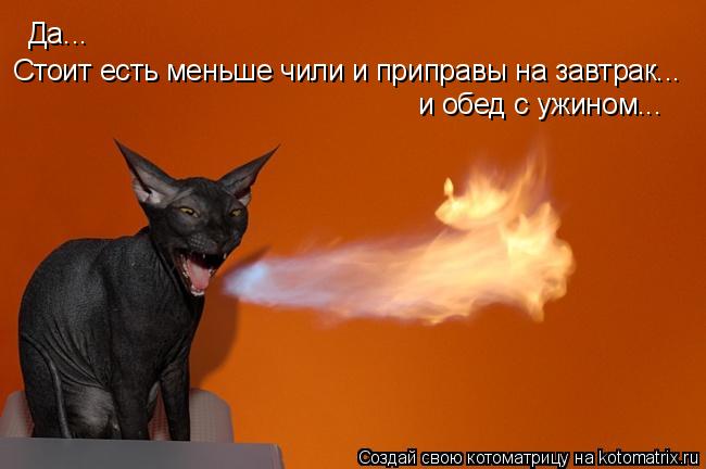 Да... Стоит есть меньше чили и приправы на завтрак... и обед с ужином...... Котоматрица: Да... Стоит есть меньше чили и приправы на завтрак... и обед с ужином...