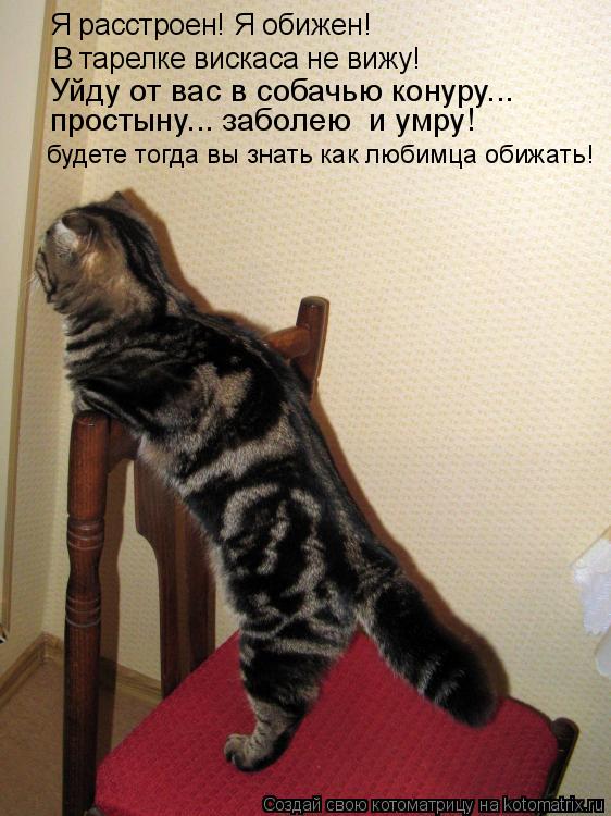В тарелке вискаса не вижу! Я расстроен! Я обижен! Уйду от вас в собачью конуру... простыну... заболею... Котоматрица: В тарелке вискаса не вижу! Я расстроен! Я обижен! Уйду от вас в собачью конуру... простыну... заболею и умру! будете тогда вы знать как любимца