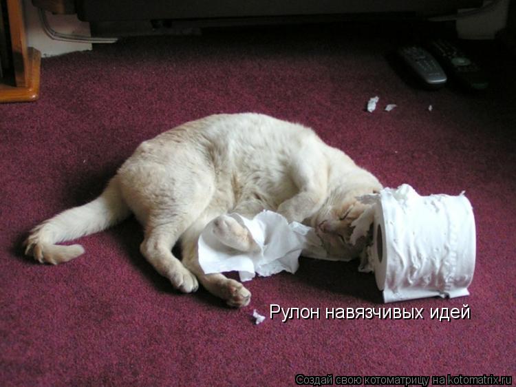 Рулон навязчивых идей... Котоматрица: Рулон навязчивых идей