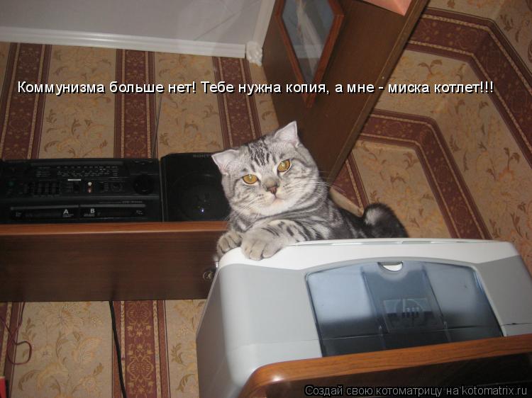 Коммунизма больше нет! Тебе нужна копия, а мне - миска котлет!!!... Котоматрица: Коммунизма больше нет! Тебе нужна копия, а мне - миска котлет!!!