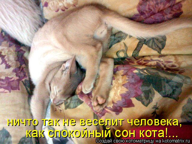 как спокойный сон кота!... ничто так не веселит человека,