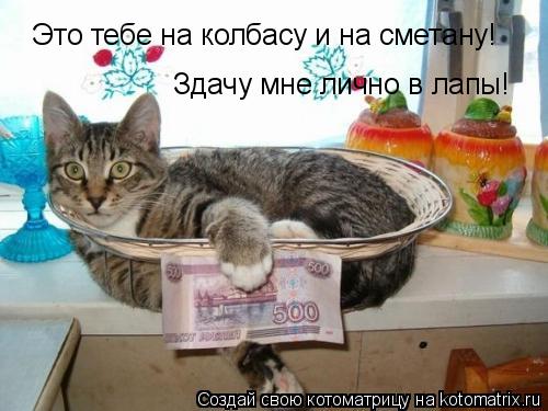 Это тебе на колбасу и на сметану! Здачу мне лично в лапы!... Котоматрица: Это тебе на колбасу и на сметану! Здачу мне лично в лапы!