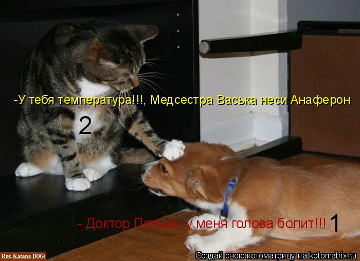- Доктор Петька, у меня голова болит!!! -У тебя температура!!!, Медсестра Васька неси Анаферон 1 2... Котоматрица: - Доктор Петька, у меня голова болит!!! -У тебя температура!!!, Медсестра Васька неси Анаферон 1 2