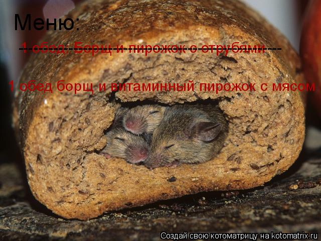 Меню: 1 обед: Борщ и пирожок с отрубями ----------------------------------------------------- 1 обед ... Котоматрица: Меню: 1 обед: Борщ и пирожок с отрубями ----------------------------------------------------- 1 обед борщ и витаминный пирожок с мясом