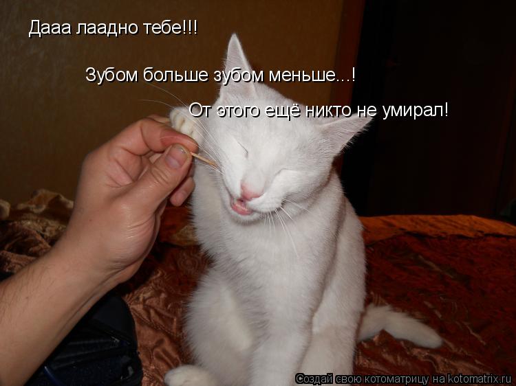 Дааа лаадно тебе!!! Зубом больше зубом меньше...! От этого ещё никто не умирал!... Котоматрица: Дааа лаадно тебе!!! Зубом больше зубом меньше...! От этого ещё никто не умирал!