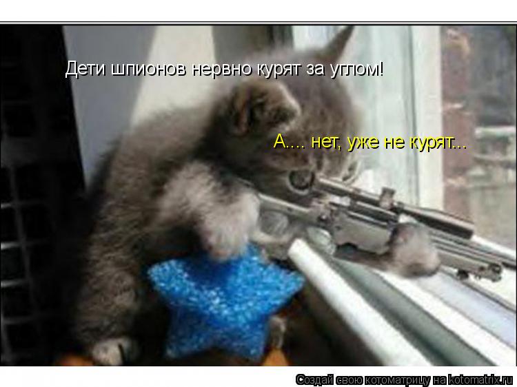 Дети шпионов нервно курят за углом! А.... нет, уже не курят...... Котоматрица: Дети шпионов нервно курят за углом! А.... нет, уже не курят...