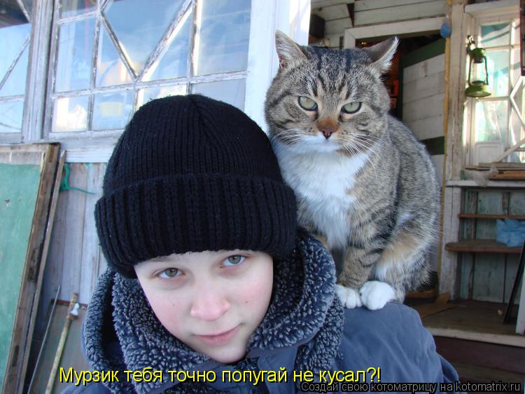 Мурзик тебя точно попугай не кусал?!... Котоматрица: Мурзик тебя точно попугай не кусал?!