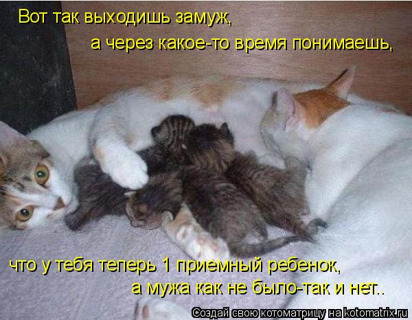 Вот так выходишь замуж, что у тебя теперь 1 приемный ребенок, а мужа как не было-так и нет.. а через ... Котоматрица: Вот так выходишь замуж, что у тебя теперь 1 приемный ребенок, а мужа как не было-так и нет.. а через какое-то время понимаешь,