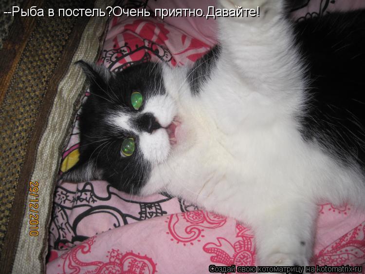 --Рыба в постель?Очень приятно.Давайте!... Котоматрица: --Рыба в постель?Очень приятно.Давайте!
