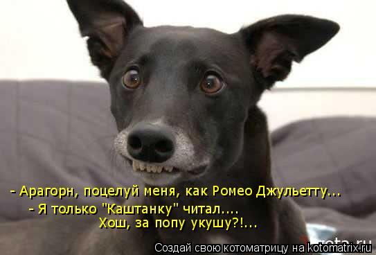 - Арагорн, поцелуй меня, как Ромео Джульетту... - Я только "Каштанку" читал.... Хош, за попу укушу?!... Котоматрица: - Арагорн, поцелуй меня, как Ромео Джульетту... - Я только "Каштанку" читал.... Хош, за попу укушу?!...