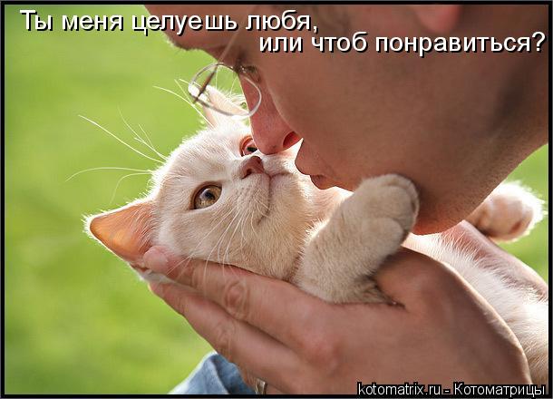 Ты меня целуешь любя, или чтоб понравиться?... Котоматрица: Ты меня целуешь любя, или чтоб понравиться?