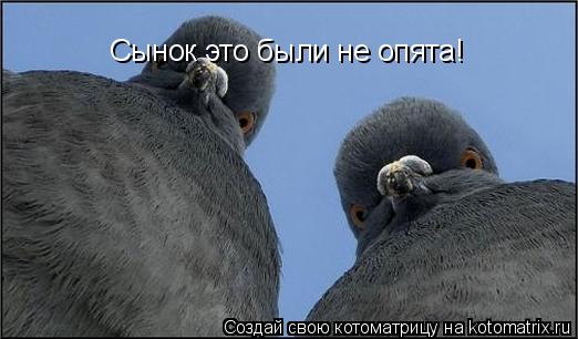 Сынок это были не опята!... Котоматрица: Сынок это были не опята!