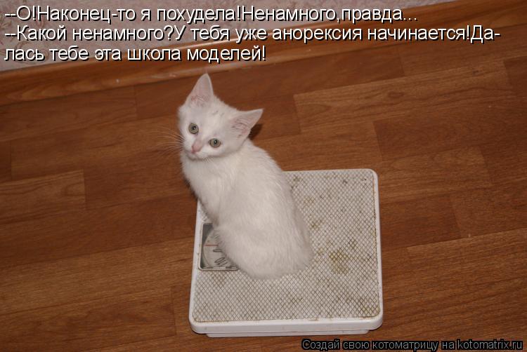 --О!Наконец-то я похудела!Ненамного,правда... --Какой ненамного?У тебя уже анорексия начинается!Да- л... Котоматрица: --О!Наконец-то я похудела!Ненамного,правда... --Какой ненамного?У тебя уже анорексия начинается!Да- лась тебе эта школа моделей!