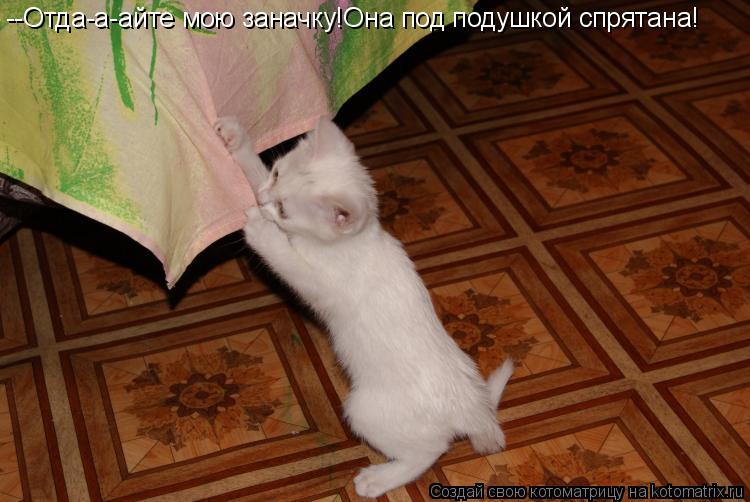 --Отда-а-айте мою заначку!Она под подушкой спрятана!... Котоматрица: --Отда-а-айте мою заначку!Она под подушкой спрятана!