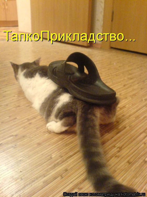 ТапкоПрикладство...... Котоматрица: ТапкоПрикладство...