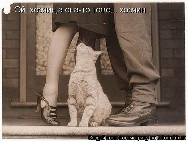Ой, хозяин,а она-то тоже... хозяин... Котоматрица: Ой, хозяин,а она-то тоже... хозяин