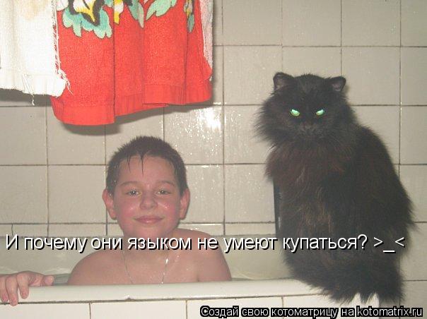 И почему они языком не умеют купаться? >_<... Котоматрица: И почему они языком не умеют купаться? >_<