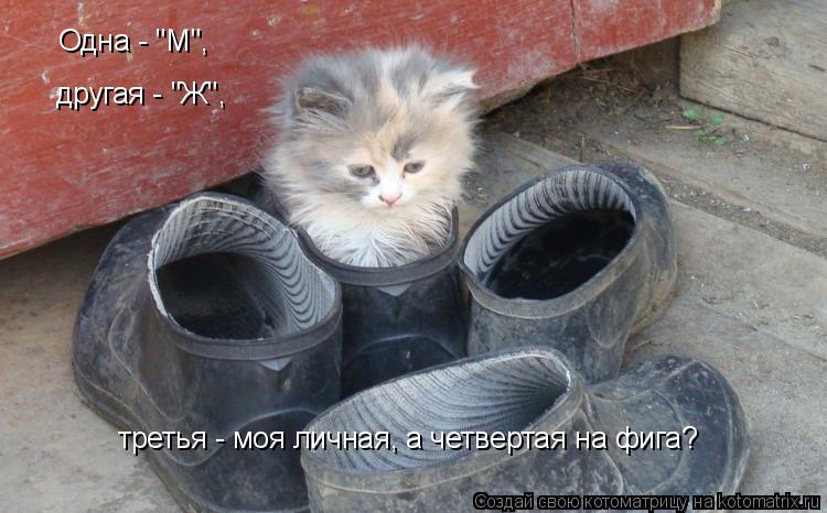 Одна - "М", другая - "Ж", третья - моя личная, а четвертая на фига?... Котоматрица: Одна - "М", другая - "Ж", третья - моя личная, а четвертая на фига?