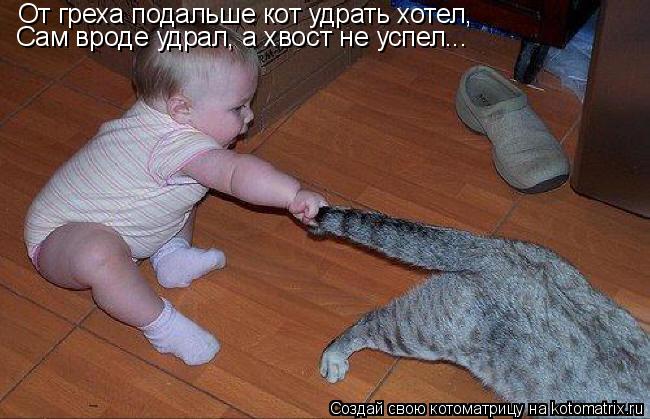 От греха подальше кот удрать хотел, Сам вроде удрал, а хвост не успел...... Котоматрица: От греха подальше кот удрать хотел, Сам вроде удрал, а хвост не успел...