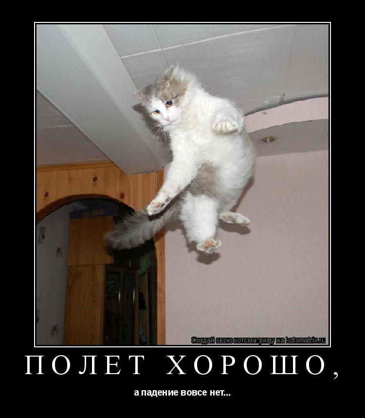 ПОЛЁТ ХОРОШО, а падение вовсе нет...... Котоматрица: ПОЛЁТ ХОРОШО, а падение вовсе нет...