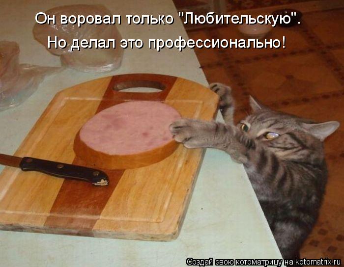 Но делал это профессионально! Он воровал только "Любительскую".... Котоматрица: Но делал это профессионально! Он воровал только "Любительскую".