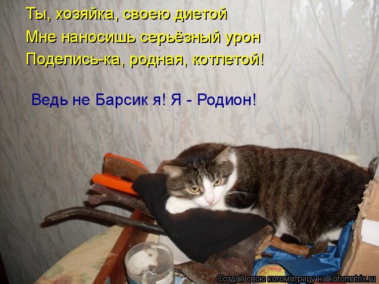 Ты, хозяйка, своею диетой Мне наносишь серьёзный урон Поделись-ка, родная, котлетой! Ведь не Барсик я... Котоматрица: Ты, хозяйка, своею диетой Мне наносишь серьёзный урон Поделись-ка, родная, котлетой! Ведь не Барсик я! Я - Родион!