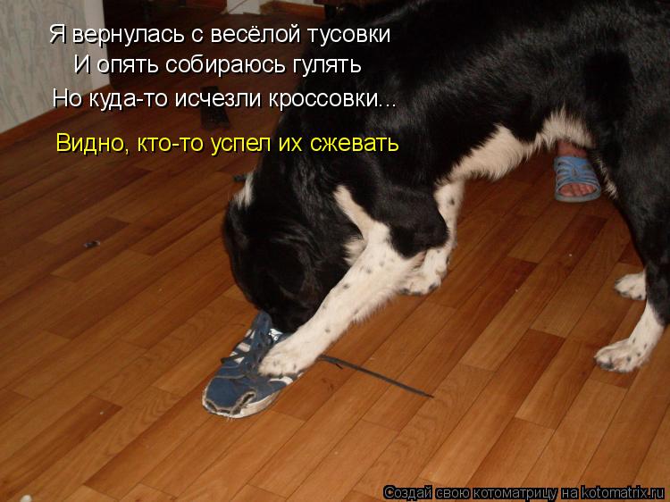 Я вернулась с весёлой тусовки Я вернулась с весёлой тусовки И опять собираюсь гулять Но куда-то исчез... Котоматрица: Я вернулась с весёлой тусовки Я вернулась с весёлой тусовки И опять собираюсь гулять Но куда-то исчезли кроссовки... Видно, кто-то успел их с