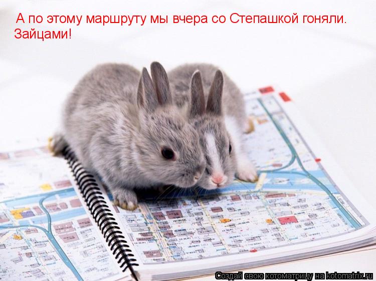 А по этому маршруту мы вчера со Степашкой гоняли. Зайцами! А по этому маршруту мы вчера со Степашкой ... Котоматрица: А по этому маршруту мы вчера со Степашкой гоняли. Зайцами! А по этому маршруту мы вчера со Степашкой гоняли. Зайцами!