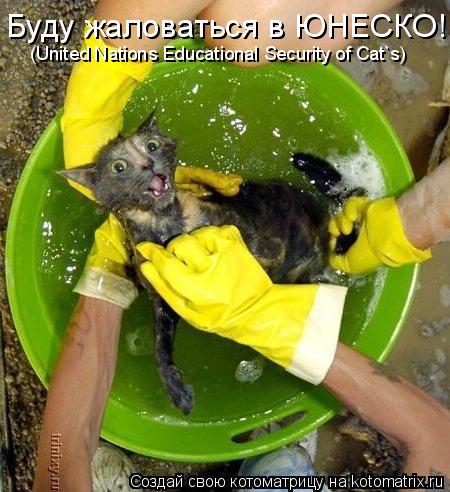 Буду жаловаться в ЮНЕСКО! (United Nations Educational Security of Cat`s)... Котоматрица: Буду жаловаться в ЮНЕСКО! (United Nations Educational Security of Cat`s)