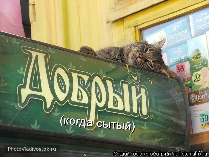 (когда сытый)... Котоматрица: (когда сытый)