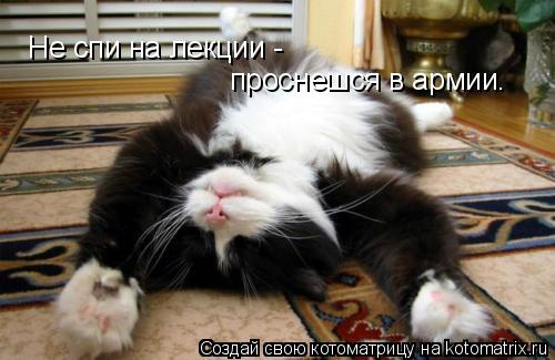 Не спи на лекции - проснешся в армии.... Котоматрица: Не спи на лекции - проснешся в армии.