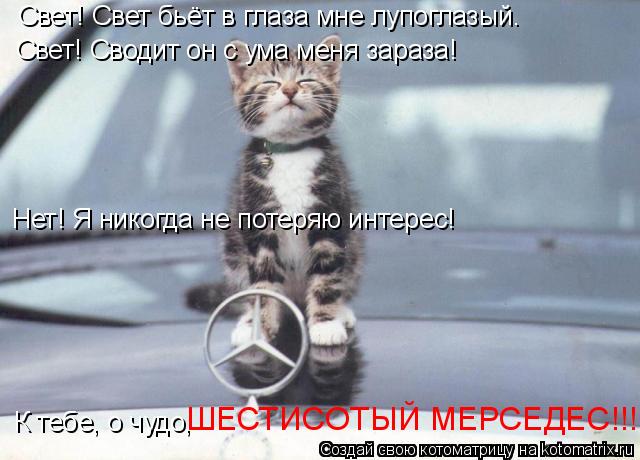 Свет! Свет бьёт в глаза мне лупоглазый. Нет! Я никогда не потеряю интерес! К тебе, о чудо, ШЕСТИСОТЫЙ... Котоматрица: Свет! Свет бьёт в глаза мне лупоглазый. Нет! Я никогда не потеряю интерес! К тебе, о чудо, ШЕСТИСОТЫЙ МЕРСЕДЕС!!! Свет! Сводит он с ума меня зара