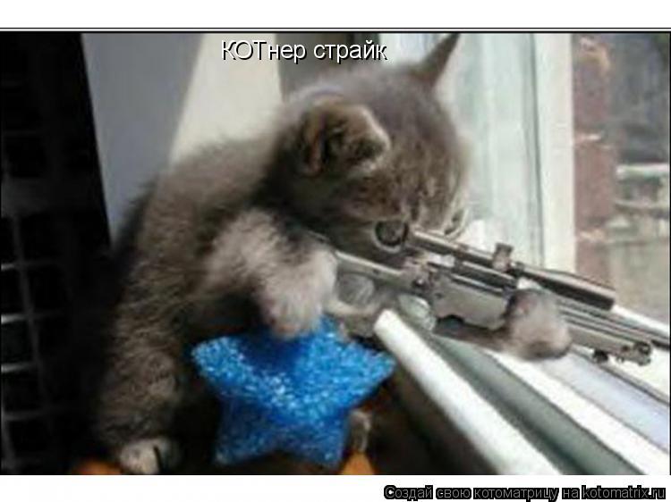 КОТнер страйк... Котоматрица: КОТнер страйк