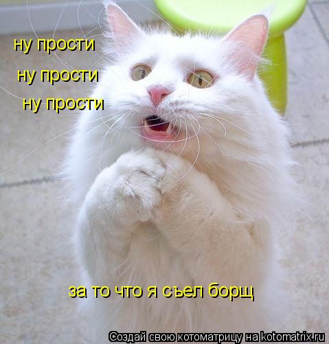 ну прости ну прости ну прости за то что я съел борщ... Котоматрица: ну прости ну прости ну прости за то что я съел борщ