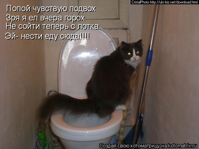 Попой чувствую подвох Зря я ел вчера горох Не сойти теперь с лотка. Эй- нести еду сюда!!!!... Котоматрица: Попой чувствую подвох Зря я ел вчера горох Не сойти теперь с лотка. Эй- нести еду сюда!!!!